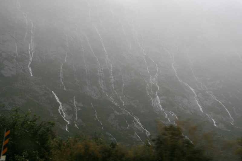 Nieuw-Zeeland 2011 - 1722